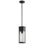 Kichler Camillo KL-CAMILLO-P-TBK lampa wisząca 1x60W/E27 IP44