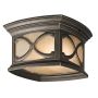 Kichler FRANCEASI KL/FRANCEASI/F plafon sufitowy 2x60W/E27 