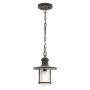 Kichler Riverwood KL-RIVERWOOD8-M lampa wisząca 1x100W/E27 IP45 