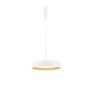 Luces Exclusivas CARACOLLO LE44813 lampa wisząca 1x40W/led 3111lm 3000k IP20
