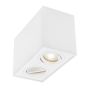 Luces Exclusivas CHIVACOA LE61452 downlight natynkowy    IP20