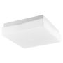 Luces Exclusivas LORENZO LE42445 lampa sufitowa    IP44