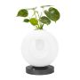 King Home BOTANICA MT80531-1-1-200 lampka stołowa 1x0,5W/LED 3000K IP20