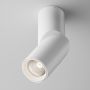 Maytoni Dafne C027CL-L10W4K spot 1x10W/LED 4000K IP20 1060lm