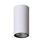 Italux Fano OPN-2002-4K downlight natynkowy 1x3W/LED 4000K IP54