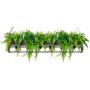 King Home SEMIRA INDUSTRIAL OSW001005 lampa wisząca 6x40W/E27  IP20