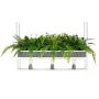 King Home SEMIRA OSW001285 lampa wisząca 3x40w/E27   
