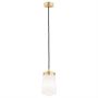 Argon PASADENA 8004 lampa wisząca 1x15W/E27  IP20