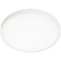 Italux Riberio PLF-75689-WH-4K plafon sufitowy 30W/LED 4000K IP20