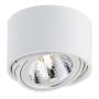 Kaspa LUMOS 70251101 downlight natynkowy 1x9W/G9 IP20