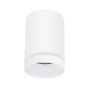 Polux FABRI 319883 downlight natynkowy max 10W LED  IP20