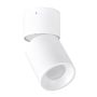 Polux NIXA 314239 downlight natynkowy max 10W LED  IP20