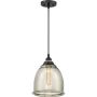 Quoizel Piccolo QZS-QPP2818K lampa wisząca 1x60W/E27  