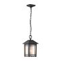 Quoizel Cedar Point QZ-CEDAR-POINT8-M-BK lampa wisząca 1x60W/E27  IP44