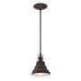 Quoizel EASTVALE QZ/EASTVALE/P/S lampa wisząca 1x60W/E27 