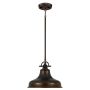 Quoizel EMERY QZ/EMERY/P/M PN lampa wisząca 1x100W/E27 