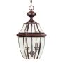 Quoizel Newbury QZ-NEWBURY8-L-AC lampa wisząca 2x60W/E14 IP23 