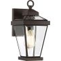 Quoizel Ravine QZ-RAVINE2-S kinkiet 1x60W/E27 IP44 