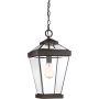 Quoizel Ravine QZ-RAVINE8-L lampa wisząca 1x60W/E27 IP23 