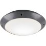 Trio CAMARO R60501042 lampa sufitowa 1x12w/e27   ip54