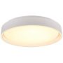 Trio FELIS R64391031 lampa sufitowa 1x24w/led 2500lm 2700-6500K ip20