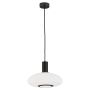 Argon SAGUNTO PLUS 8565 lampa wisząca 1x15W/E27 IP20