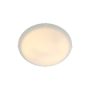 Nordlux STANDARD 2410256001 lampa sufitowa 1x60W/E27 IP20