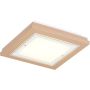 Argon TABOR 1866 plafon sufitowy 4x15W/E27   IP20