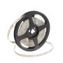 SMD LED HOMEline TAS4625SLL taśma LED 120x9,7W/m/LED 880 lm/m 3000K IP20