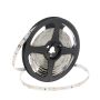 SMD LED HOMEline TAS4755SLL taśma LED 60x4,2W/m/LED 400 lm/m 4000K IP20
