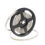 SMD LED HOMEline TAS4793SLL taśma LED 120x9,7W/m/LED 880 lm/m 4000K IP20