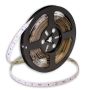 SMD LED PROline TAS4175SLL taśma LED 60x6W/m/LED 650 lm/m 3000K IP20