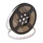 SMD LED PROline TAS4199SLL taśma LED 60x6W/m/LED 720 lm/m 4000K IP20