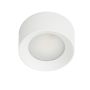 Italux Sirius WG-608C/WK-WW/MULTI downlight natynkowy 1x28W/LED 3000k|4000k|6000k IP44 3200lm