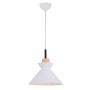 Zambelis PENDANT LAMP 180066 lampa wisząca 1x40w/E27   IP20