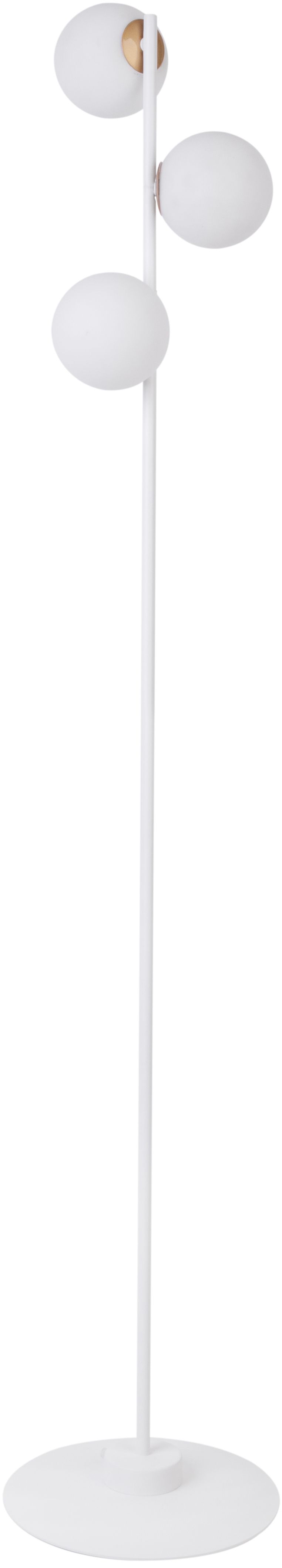 Sigma Lighting-GAMA-50204-SIG50204