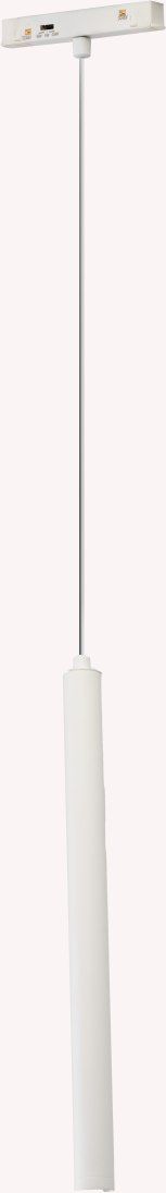 AZzardo-ALFA KERRY Magnetic-AZ6519-AZZAZ6519