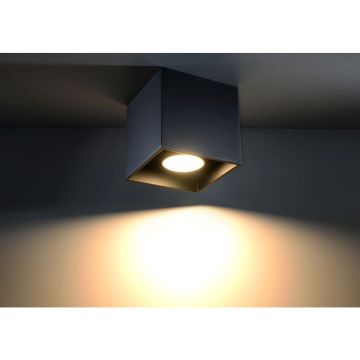 Sollux QUAD SL.0022 oprawa natynkowa 1x40W/GU10 