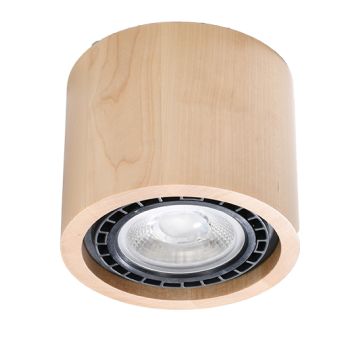 Sollux  BASIC 1  SL.0913 downlight natynkowy 1x40W/GU10  IP20