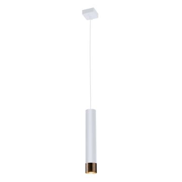 Antigo Eido 8257 lampa wisząca 1x10W/GU10 IP20