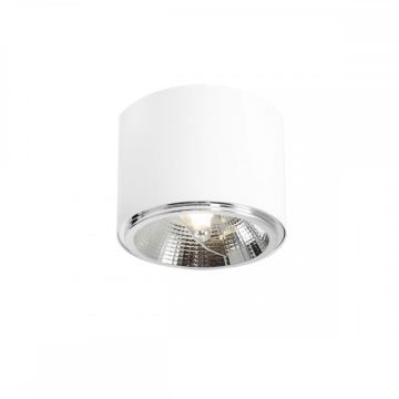 Aldex BOT 1046PL_G downlight natynkowy 1x35W/GU10/ES111