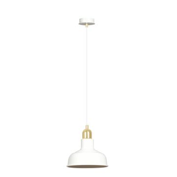 Emibig IBOR 1043/1 lampa wisząca 1x15W/E27 IP20
