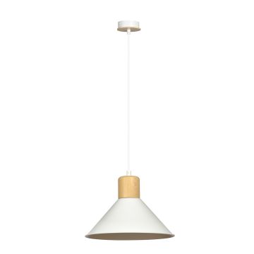 Emibig ROWEN 1045/1 lampa wisząca 1x15W/E27 IP20