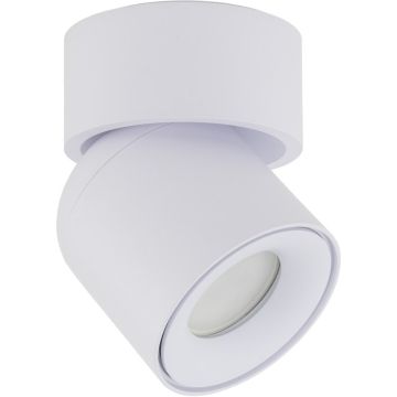 Tk Lighting TWIST 10576 spot 1x10W/GU10   IP65