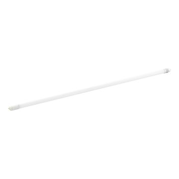 Eglo LEDG13 110344 świetlówka 1x23W/G13  4000K IP20