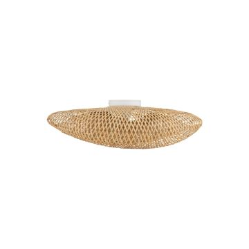 Nowodvorski HAVANA 11171 lampa sufitowa 1x25W/E27 IP20