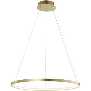 Paul Neuhaus CIRCLE 11524-12 lampa wisząca 1x33W/LED 3670lm 3000k ip20