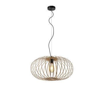Paul Neuhaus RACOON 11409-79 lampa wisząca 1x60W/E27 230V IP20