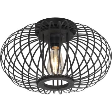 Paul Neuhaus RACOON 11410-18 lampa sufitowa 5x40W/E27   ip20