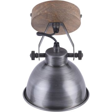 Paul Neuhaus SAMIA 11981-77 lampa sufitowa 1x40W/E14   ip20